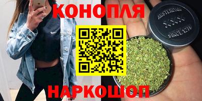СК Вышний Волочёк