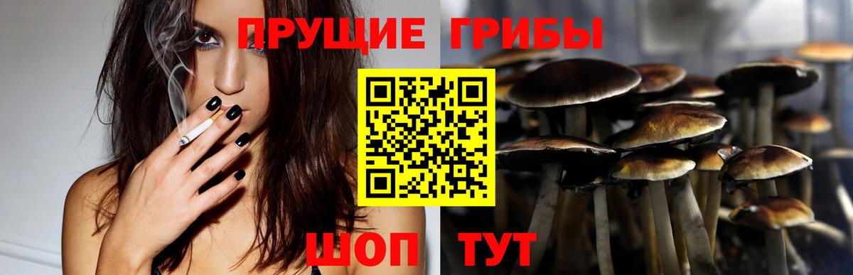 наркошоп  Псилоцибиновые грибы прущие грибы  Вход с VPN  Галлюциногенные грибы мицелий  Новый Уренгой 